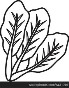 Hand Drawn Kale illustration isolated on background