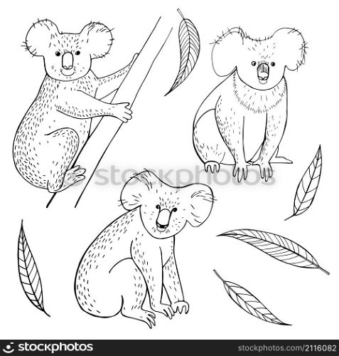 Hand drawn koala and eucalyptus leaves on white background. Vector sketch illustration.. Hand drawn koala and eucalyptus leaves.