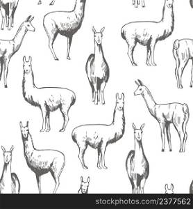 Hand-drawn lamas. Vector seamless pattern. Vector pattern with lamas.