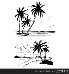 Hand drawn landscapes with palm trees. Vector sketch illustration.. Hand drawn palm trees. Vector sketch illustration.