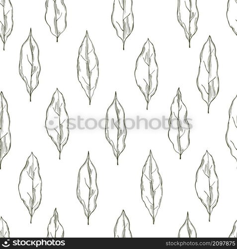 Hand drawn laurel plant. Vector seamless pattern. Sketch illustration. Laurel plant. Vector seamless pattern.