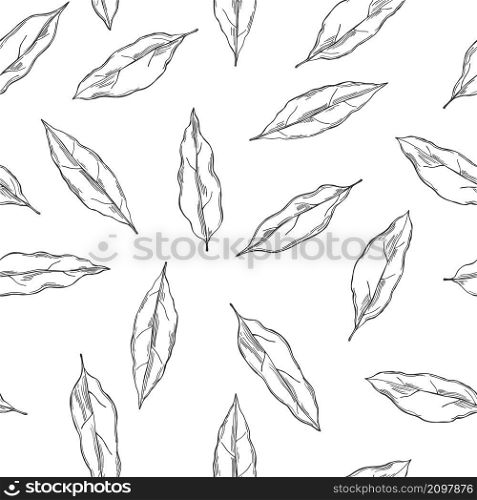 Hand drawn laurel plant. Vector seamless pattern. Sketch illustration. Laurel plant. Vector seamless pattern.