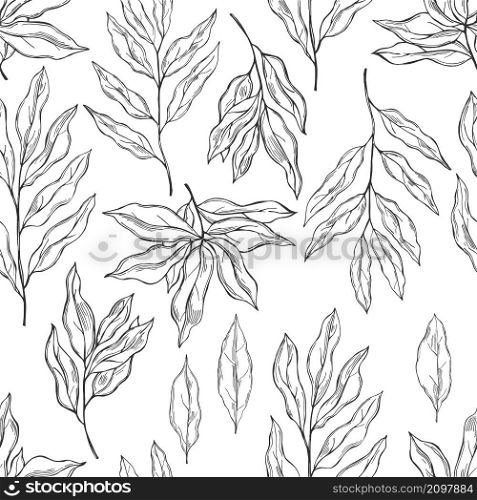 Hand drawn laurel plant. Vector seamless pattern. Sketch illustration. Laurel plant. Vector seamless pattern.