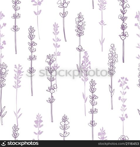 Hand drawn lavender. Seamless vector pattern. Hand drawn lavender.