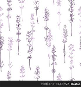 Hand drawn lavender. Seamless vector pattern. Hand drawn lavender.