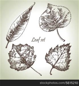 Hand drawn leaf set
