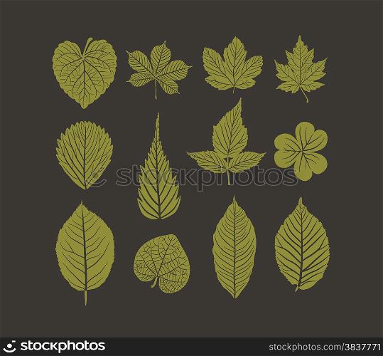 Hand drawn leafs autumn collection
