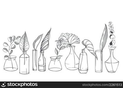 Hand-drawn leaves in glass vases and bottles. Vector sketch illustration. . Leaves in glass vases and bottles. Sketch illustration. 
