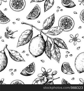 Hand drawn lemon pattern. Vintage seamless texture for juice label, citrus ink sketch. Vector illustrations orange lemon lime fruit summer pattern with leaves and branch for wrapping print. Hand drawn lemon pattern. Vintage seamless texture for juice label, citrus ink sketch. Vector orange lemon lime fruit pattern