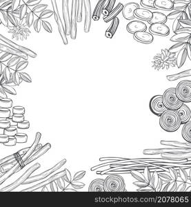 Hand drawn Licorice sweets. Vector background. Sketch illustration.. Licorice sweets. Vector background.