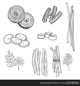 Hand drawn Licorice sweets. Vector sketch illustration.. Licorice sweets. Vector illustration.