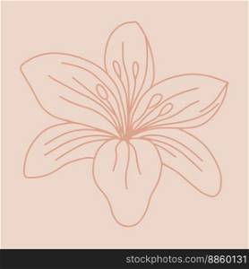 Hand drawn lily. Beautiful delicate lily. Vector illustration.. Hand drawn lily. Beautiful delicate lily. Vector illustration