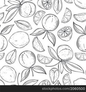 Hand drawn lime fruits on white background.Vector seamless pattern. . Citrus fruits. Lime. Vector pattern.