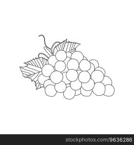 Hand drawn line art grape eps 10 Royalty Free Vector Image