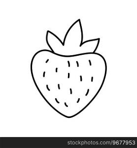 Hand drawn line strawberry fruit outline icon vector doodle illustration, suitable for coloring book, logo, illustration, sticker, cover.. Hand drawn line strawberry fruit outline icon vector doodle illustration, suitable for coloring book, logo, illustration, sticker, cover