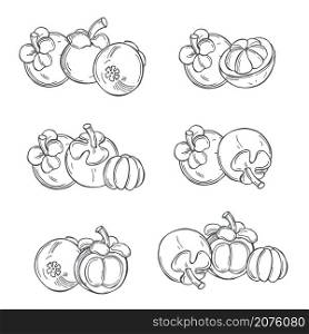 Hand drawn mangosteen on white background.Vector sketch illustration.. Tropical fruits. Vector illustration
