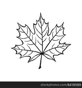 Hand drawn maple leaf outline. Maple leaf in line art style isolated on white background.