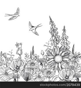 Hand drawn meadow flowers and swallows. Vector sketch illustration.