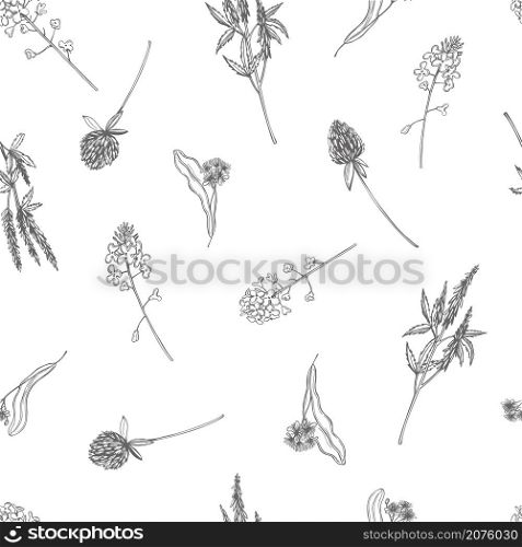 Hand drawn meadow flowers. Vector seamless pattern. Meadow flowers. Vector pattern.