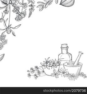 Hand drawn medicinal herbs. Alternative medicine.Vector sketch illustration.. Hand drawn medicinal herbs.