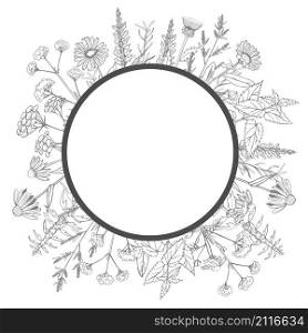 Hand drawn medicinal herbs.Vector frame. Hand drawn medicinal herbs.Vector sketch illustration.