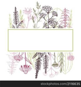 Hand drawn medicinal herbs. Vector frame. Hand drawn medicinal herbs.Vector sketch illustration.