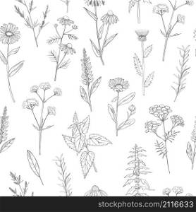 Hand drawn medicinal herbs. Vector seamless pattern. Hand drawn medicinal herbs.Vector sketch illustration.