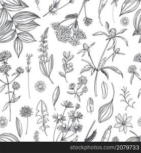 Hand drawn medicinal herbs. Vector seamless pattern. Medicinal herbs. Vector pattern