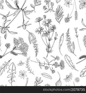 Hand drawn medicinal herbs. Vector seamless pattern. Medicinal herbs. Vector pattern
