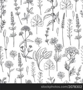 Hand drawn medicinal herbs. Vector seamless pattern. . Medicinal herbs. Vector seamless pattern.