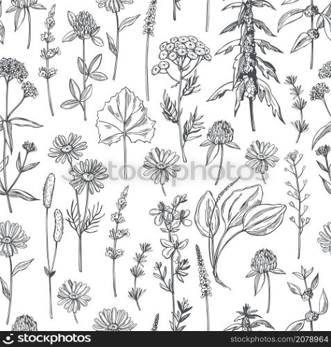 Hand drawn medicinal herbs.Vector seamless pattern.. Vector pattern with medicinal herbs.