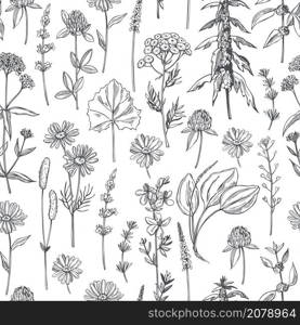 Hand drawn medicinal herbs.Vector seamless pattern.. Vector pattern with medicinal herbs.