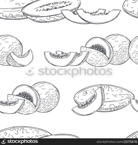Hand drawn  melon on white background. Vector  seamless pattern. . Melon. Vector pattern.