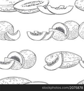 Hand drawn melon on white background. Vector seamless pattern. . Melon. Vector pattern.