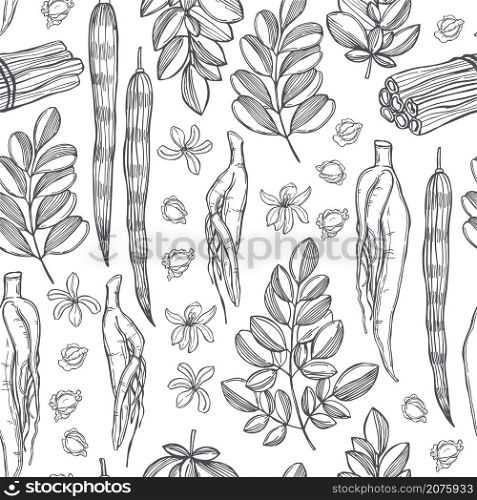 Hand drawn moringa oleifera. Roots, fruits, seeds and leaves on white background. Vector seamless pattern. . Moringa oleifera. Vector pattern.
