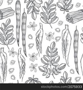 Hand drawn moringa oleifera. Roots, fruits, seeds and leaves on white background. Vector seamless pattern. . Moringa oleifera. Vector pattern.
