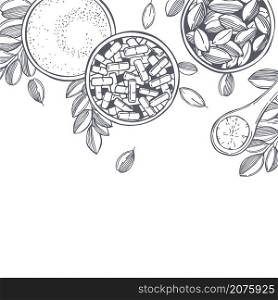 Hand drawn moringa oleifera. Vector background. Sketch illustration.. Moringa oleifera. Vector illustration.