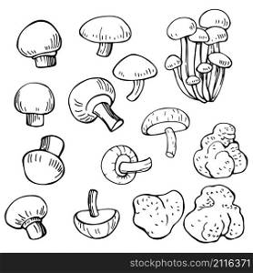 Hand drawn mushrooms. Vector sketch illustration.