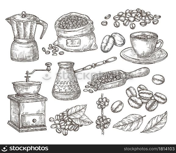 Hand drawn natural coffee. Graphics beans, sketch gourmet morning drink. Espresso making machine, isolated vintage roast seed bag vector set. Coffee morning, caffeine breakfast drink illustration. Hand drawn natural coffee. Graphics beans, sketch gourmet morning drink. Espresso making machine, isolated vintage roast seed bag vector set
