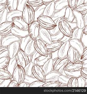 Hand drawn nuts. Brazil nut. Vector seamless pattern. Hand drawn nuts. Vector sketch illustration.