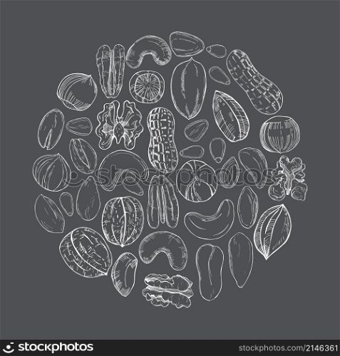 Hand drawn nuts in a circle on grey background. Vector sketch illustration.. Hand drawn nuts. Vector sketch illustration.