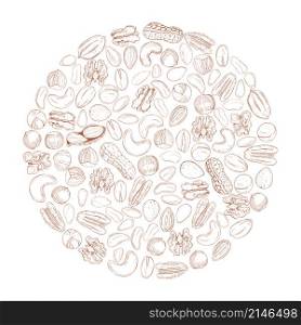 Hand drawn nuts in a circle. Vector sketch illustration.. Hand drawn nuts. Vector sketch illustration.