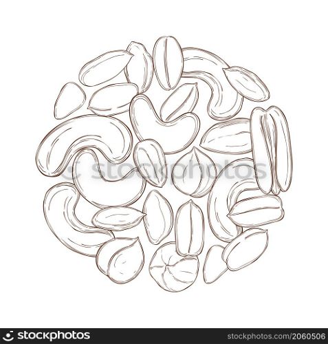 Hand drawn nuts in a circle. Vector sketch illustration.. Nuts. Vector illustration.