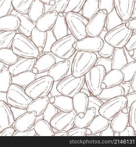 Hand drawn nuts.Pine nut. Vector seamless pattern. Hand drawn nuts. Vector sketch illustration.
