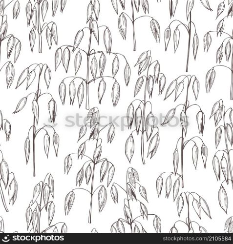 Hand drawn oats plant. Vector seamless pattern.. Hand drawn oats plant.