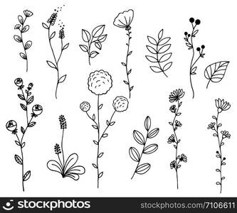 Hand drawn of vector vintage elements wild flowers and leaves collection. For invitations, greeting cards, quotes, blogs, posters.