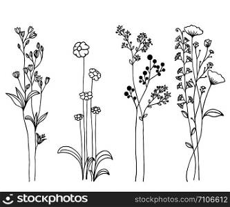 Hand drawn of vector vintage elements wild flowers. Isolated on white.