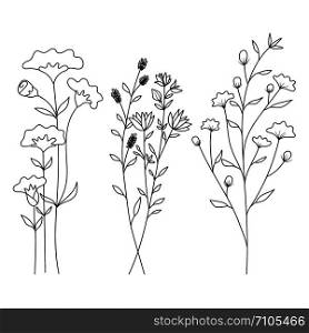 Hand drawn of wild flowers isolated on white background.