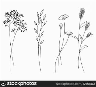 Hand drawn of wildflowers set isolated on white background.