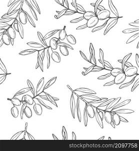 Hand drawn olive. Branches with fruits.Vector seamless pattern.. olive. Branches with fruits. Vector pattern.